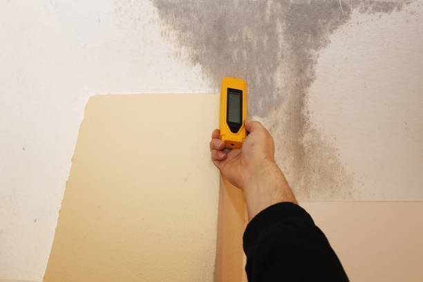 Best Industrial Mold Remediation  in Landis, NC