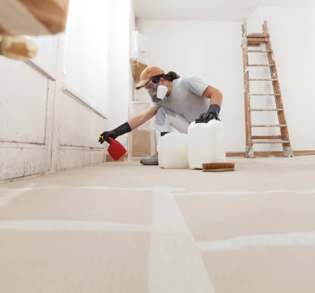 Best Biohazard Mold Removal  in Landis, NC